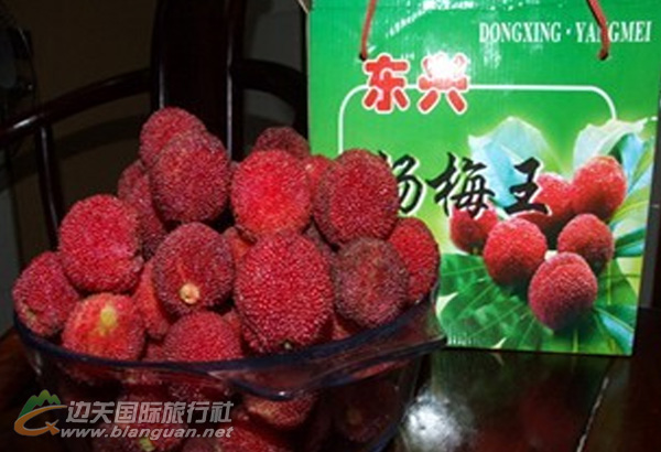 东兴杨梅王