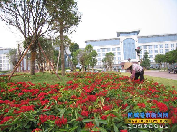 北部湾海洋文化公园北广场园林绿化改造工程将竣工