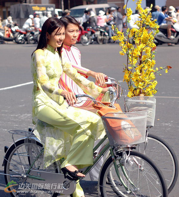 越南春节鲜花