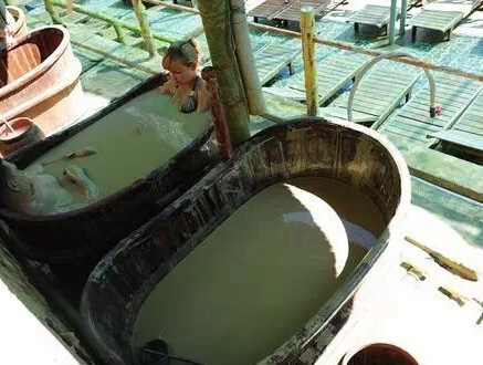 越南芽庄——特色男女混洗泥浆浴