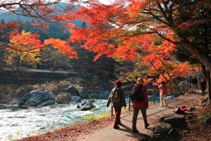 日本东京一个旅游景点