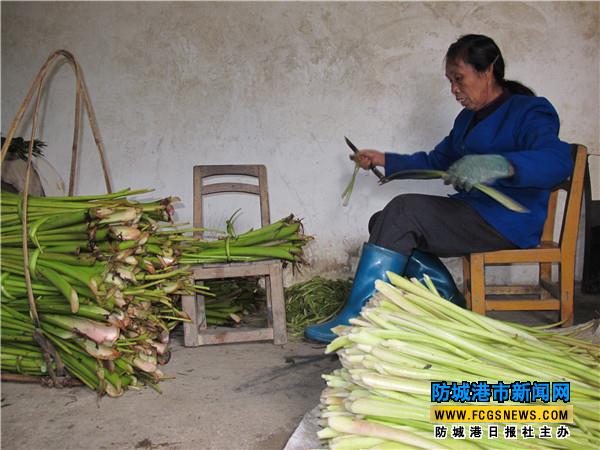 芋檬跻身“十大名菜”