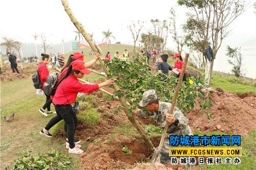城港100多名青年在中越友谊林种下164棵树