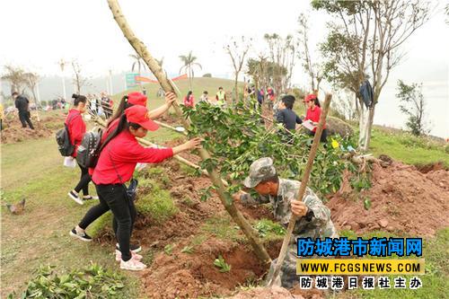 城港100多名青年在中越友谊林种下164棵树