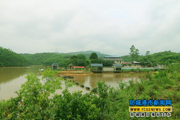 防城港市太极拳协会首个基地成立 太极高手聚集坤龙常乐园