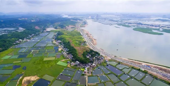 环北部湾自行车公开赛防城港站比赛线路风景优美