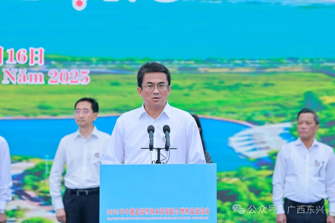 中越联合举行2025年北部湾渔业资源增殖放流活动