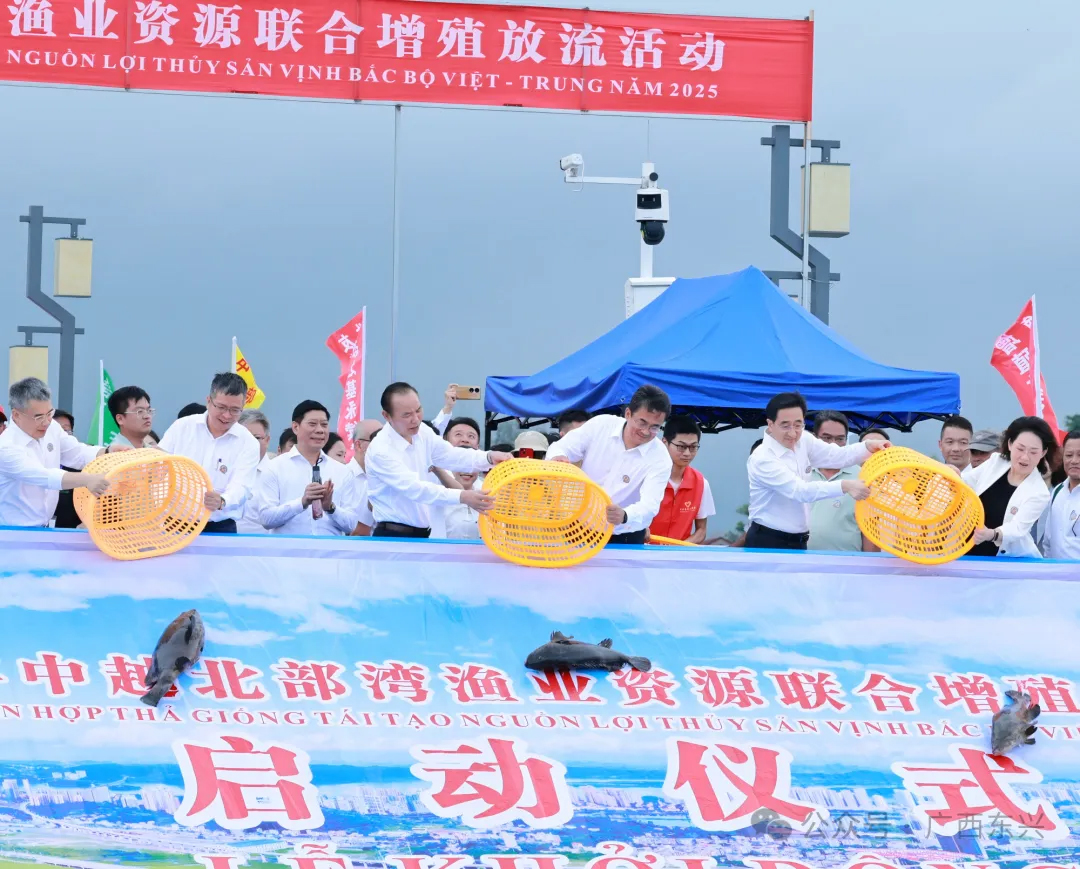 中越联合举行2025年北部湾渔业资源增殖放流活动