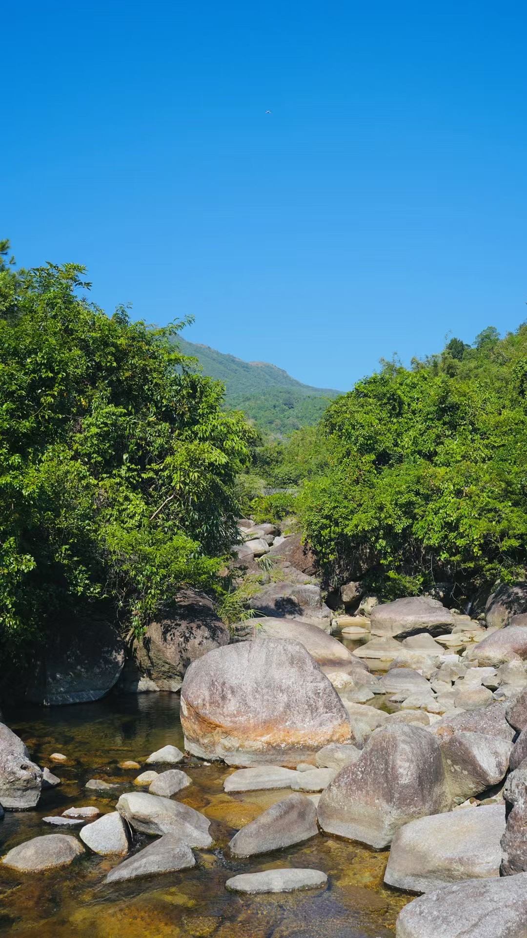 石门长寿谷