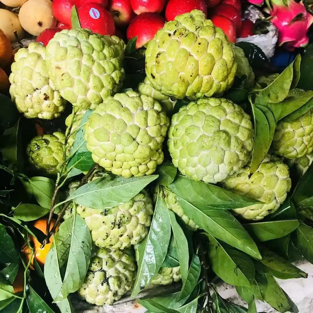 越南下龙湾天堂岛游记：穿梭喀斯特奇观，拾贝云端海岛梦