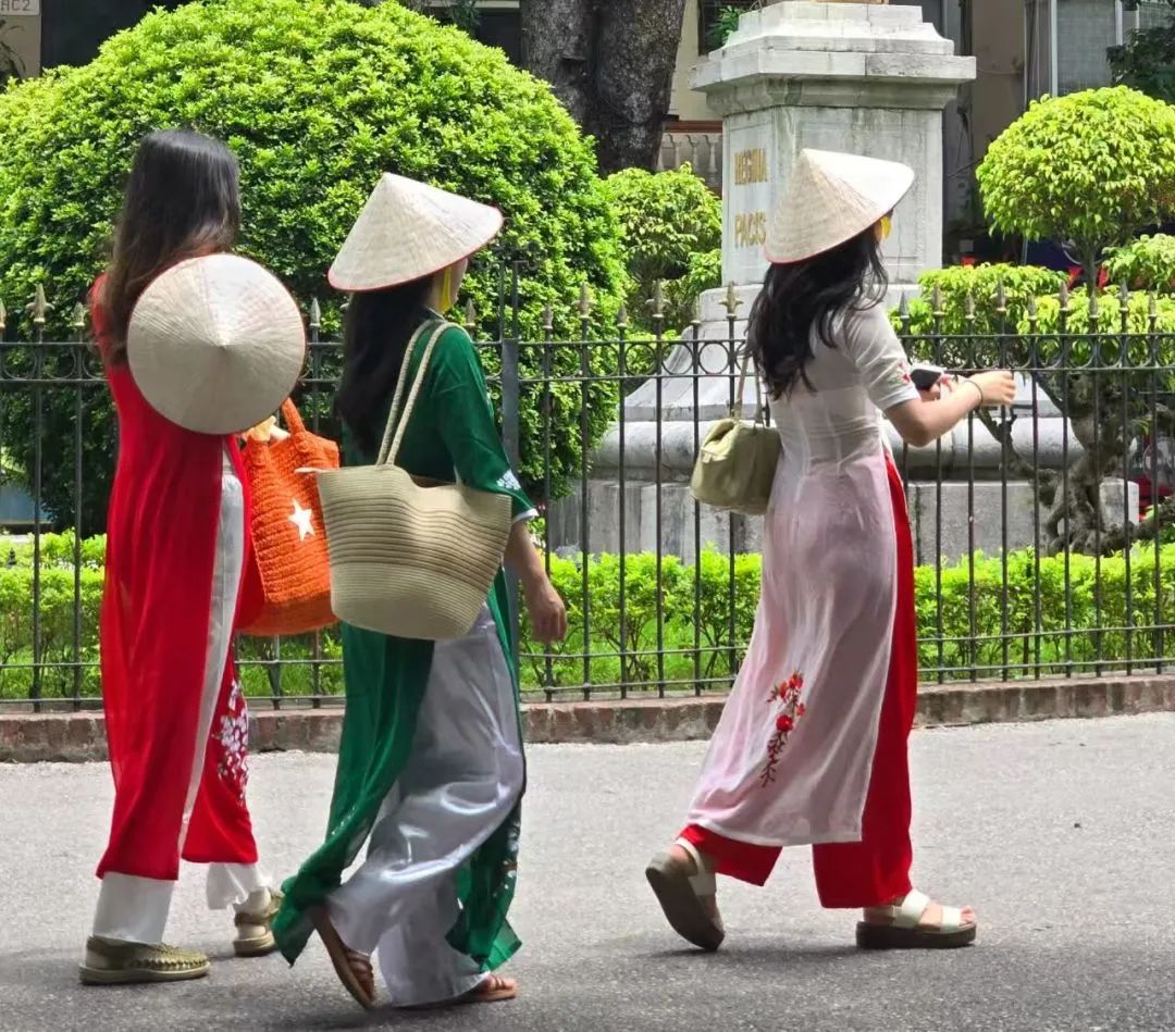 越南旅行怕踩坑？这几个实用软件人手必备，轻松搞定语言、交通和美食！