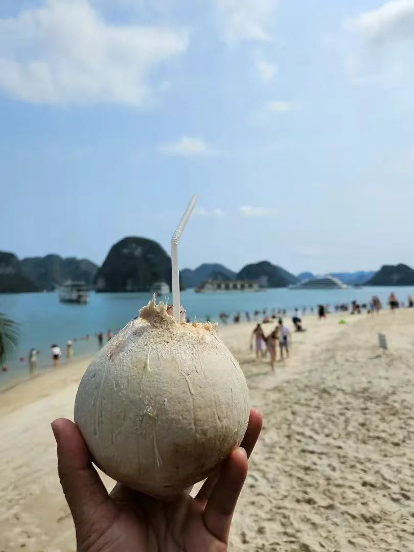 越南下龙湾天堂岛又称迪独岛、季托夫岛：解锁下龙湾的宝藏景点，深度体验世界遗产喀斯特地貌海湾地区绝美景色