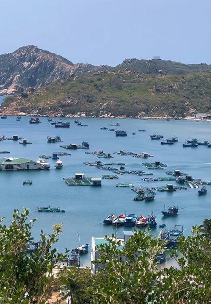 越南宁顺秘境寻踪：从芽庄到美奈到藩切，发现越南南部未被打扰的风景，解锁越南南部的隐秘海岸