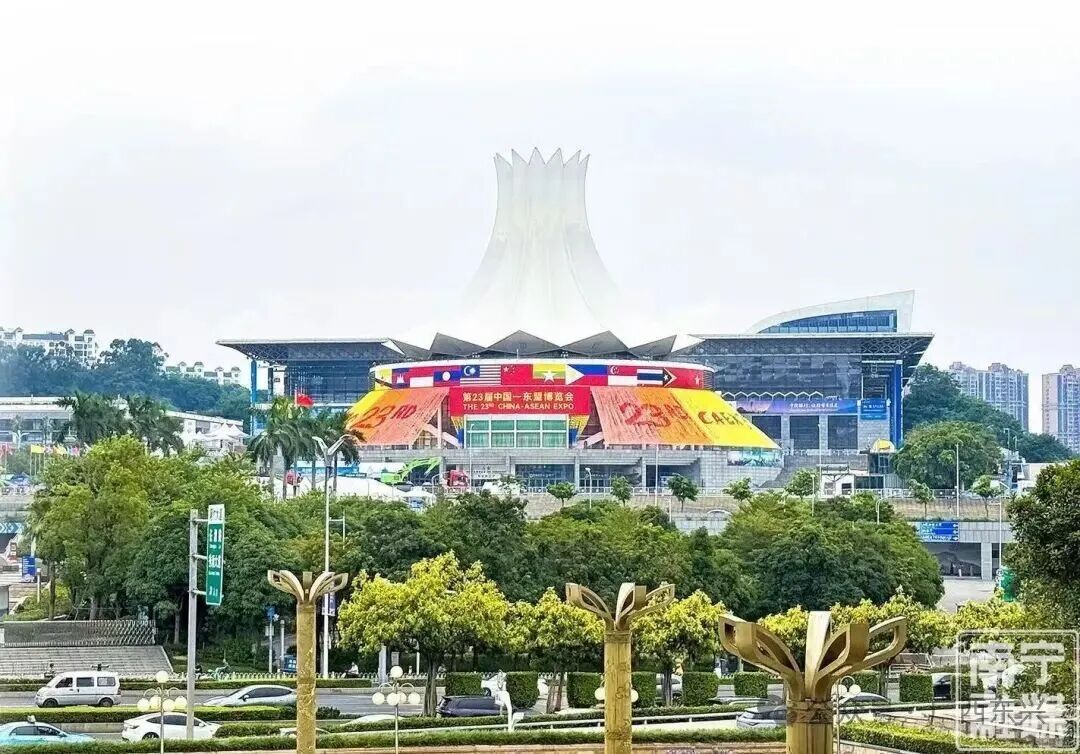 11国首次在南宁齐聚!东博会“朋友圈”迎来历史性时刻